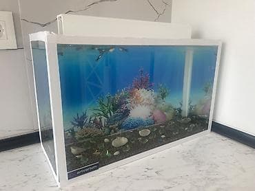 kompresör 100 lt: Dördbucaq akvarium, Balıqlarla birlikdə, 20 l, Ünvandan götürmə — 2