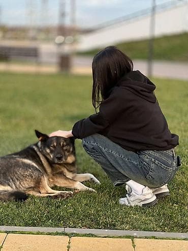 şirvan is elanları 2024: Xadimə, 23 yaş, 1-2 illik təcrübə — 1