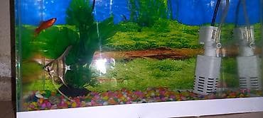 akvarium kompressor: Akvaryum dəsti - Şüşə akvaryum – kompakt ölçülü, düz künclü, şəffaf — 3