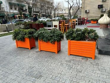 ev bitkiləri: Uzunluq 80 sm. hundurluk 53sm eni 34sm — 3