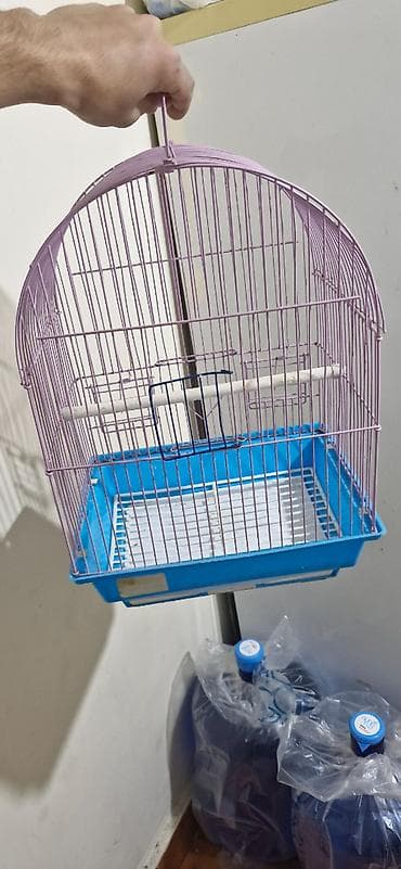 С/х животные и товары: Yeni almışıq. 15 manata.
10 manata satırıq — 5