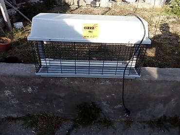 Həşərat öldürən