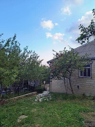 bocka: Dağ və meşə mənzərəli həyət evi - Geniş yaşıllıqla əhatəli, sakit — 1