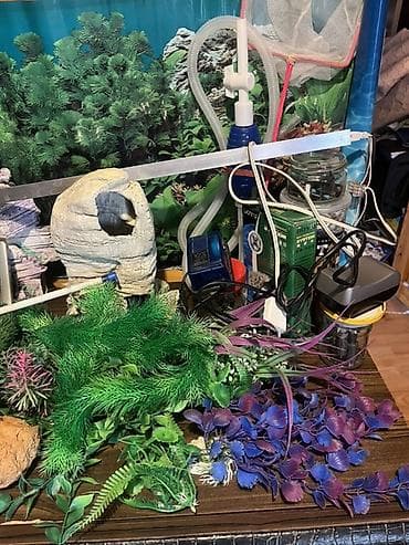 akvariu: Böyük ölçülü şüşə akvarium komplekti 180x50x40.Su tutumu 360 litr Tam — 7