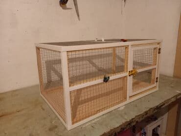 купить клетку для морской свинки: Dovşan,şinşila,bildirçin,cücə,xamyak,pişik,quş ve s kimi ev heyvanlari — 2