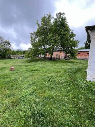 ələt torpaq: 14 sot, Biznes üçün, Mülkiyyətçi, Kupça (Çıxarış) — 5