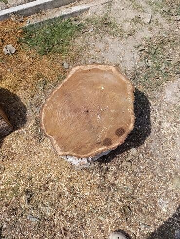 вешалка напольная в прихожую: TUT AĞACI Qalın ağac gövdəsi parçası – iri diametrli kəsilmiş şlak - — 2