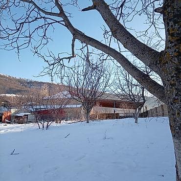 torpaq yeri: Tikinti, Mülkiyyətçi, Kupça (Çıxarış) — 6