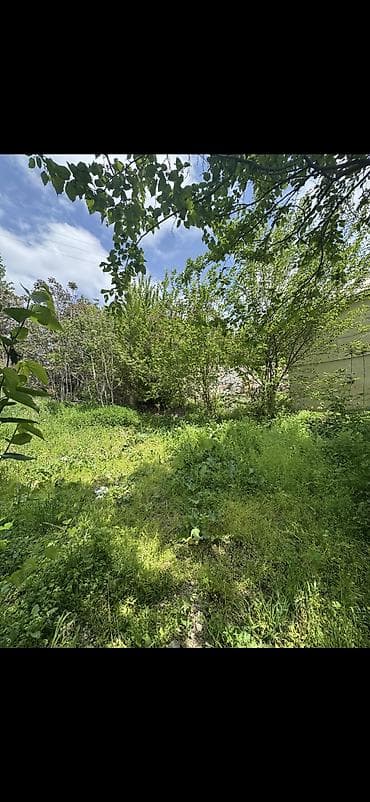 naxcivan elanlari: Tikinti, Kupça (Çıxarış) — 3