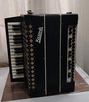 akkordeon: Akustik Akkordeon — 3