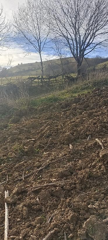 kohnə suraxanı: Kənd təsərrüfatı — 4