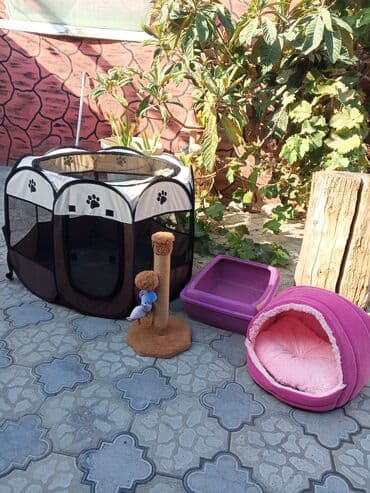 купить домик для кота: Pişik üçün aksesuar dəsti hamisi birlikde 60azn cox az islenib yeni — 2