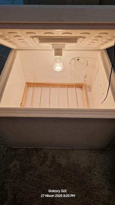 i̇nkubatorlar: Ev tipi inkubator - Material: qalın termoizolyasiyalı köpük — 4