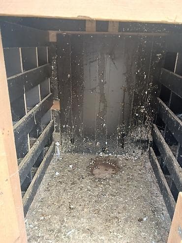 toyuq korlugu nedir: Taxta və metal dam örtüklü quşxana/saxlama daxması - Korpus: qalın — 5