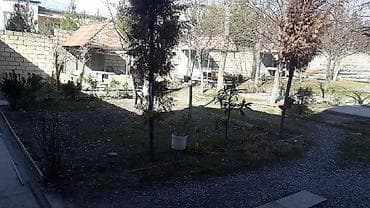 sumqayit gunluk kiraye ev: Shekide S.Mumtaz kucesinde serhed qosunlarin qabaqi, mehkeme — 4