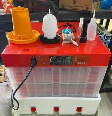 İnkubatorlar: Inkubator inkubatorlarin birinci əl satişi unversal inkubator Şəkildə — 2