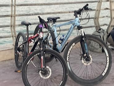 wolf velosiped: Dağ velosipedi – Sport 2401 (qara/qırmızı) Xüsusiyyətlər: - Çərçivə — 1