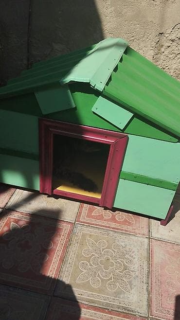 itlər üçün: It itlər üçün taxta darajdır (buda). - Material: taxta konstruksiya — 2