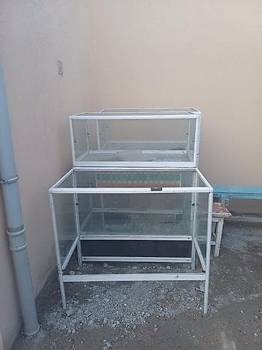 demir ref: 3ü bir yerdə — 1