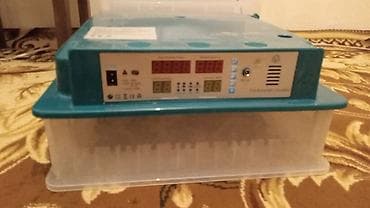 Bu tam avtomatik inkubator yumurtaların inkubasiyası üçün nəzərdə
