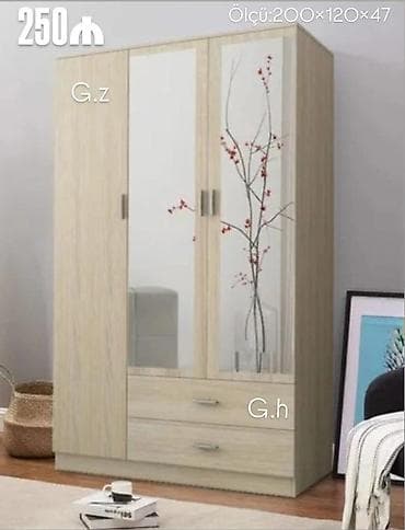 3 qapılı, Güzgülü, Bej, Taxta, Açılan, Düz dolab