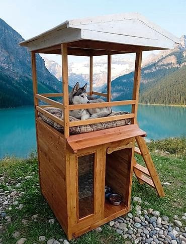 it sekili: Təmiz taxta, altı izolyasiya olunmuş 2 mərtəbəli it damı. üstü yay — 1