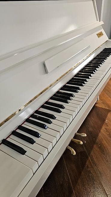dynacord cms 1600: Piano tam bərpa olunub, ideal vəziyyətdədir. Tokkata modeldir. Alətin — 5
