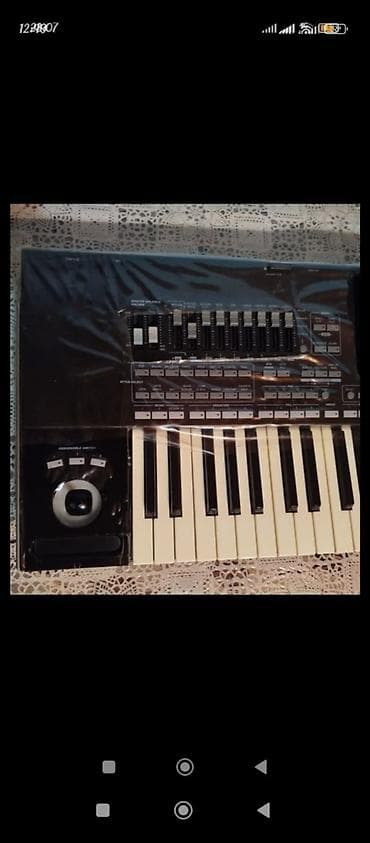 Музыкальные инструменты: Синтезатор, Korg, Новый, Самовывоз — 2