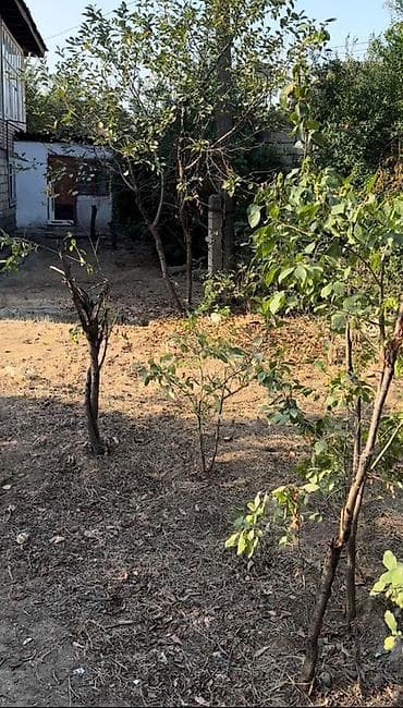 evle masin barter: MASALLI RAYONU BORADIGAH SENTERDE TRASA YAXIN OBYEKTE YARARLI 3 sot — 7