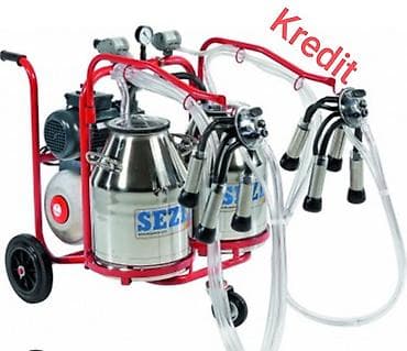 süd sagan: Tək bidon, Türkiyə, Zəmanətlə — 7