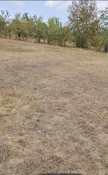 qusar rayonu: 12 sot, Tikinti, Kupça (Çıxarış) — 7