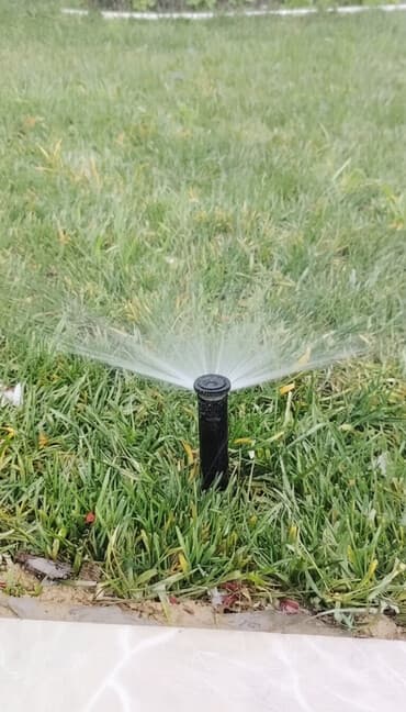 Suvarma sistemləri 💦 • Aqrotexniki qulluq🏝 • Dekorativ budama 🌲 °