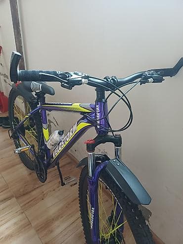 iwlenmiw velosiped: Velostorm dağ velosipedi - Çərçivə: yüngül alaşımlı polad — 2