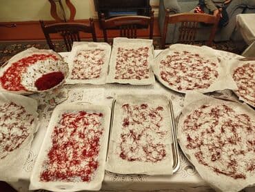 dəftər uzləri pdf: Quru meyvələr — 9