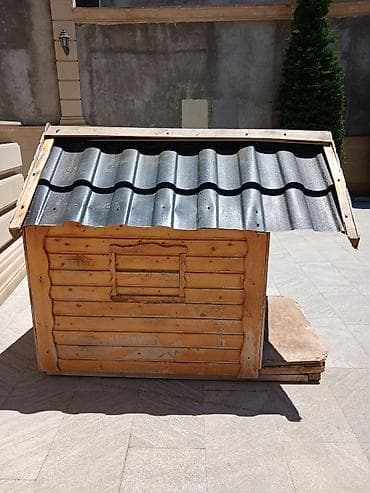 Taxta it evi - Material: qalın taxta lövhələr və faner daxili; ön