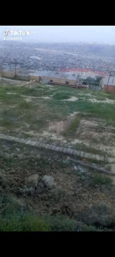 Tikinti