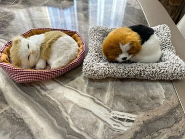 сколько стоит поп ит в азербайджане: Yenidir. Oz qiymeti 15 azndir.Qiymet 1 denesine aiddir — 1