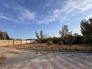 topaq: 4 sot, Mülkiyyətçi, Kupça (Çıxarış) — 4