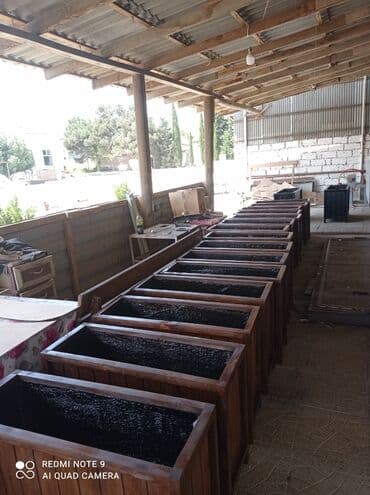 yaz gülləri: ♦️Endrim Yaz ▶️İstenilən modeldə dipçəklər hazırlanır. 🌈İstənilən — 9