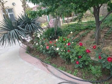 kənd əhmədli həyət evləri: 5 otaqlı, 176 kv. m, Yeni təmirli — 2