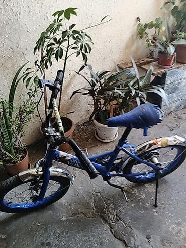 veseved: Mavi rəngli uşaq velosipedi. Kompakt ölçülü çərçivəyə malikdir və — 3