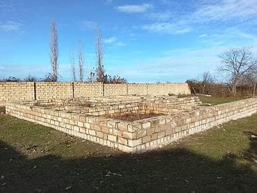 Kupça (Çıxarış)