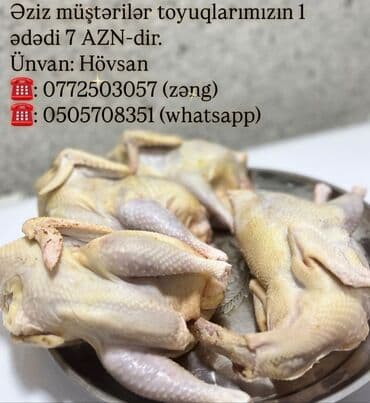 toyuq döş əti: Məhsul: Təmizlənmiş bütöv toyuq (qəpiksiz, baş-ayaq çıxarılmış) - — 1