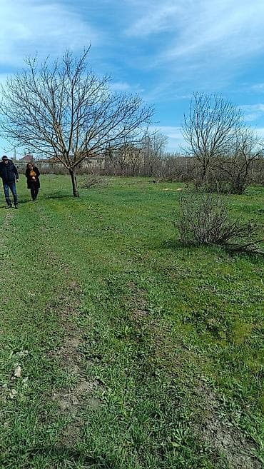 10 sot, Biznes üçün, Mülkiyyətçi, Kupça (Çıxarış) lalafo.az -da 10 sot, Biznes üçün, Mülkiyyətçi, Kupça (Çıxarış)