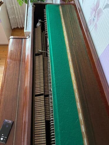 Аккордеоны: Пианино, Rönisch, Акустический — 7