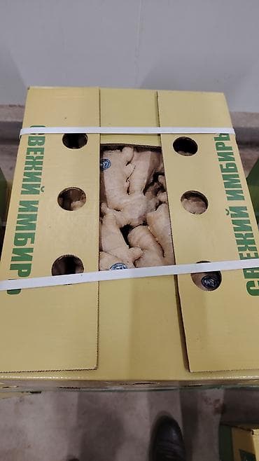 caylar: Oput qiymət.13 kq paket. Məhsul: Təzə zəncəfil kökü (fresh ginger) — 2