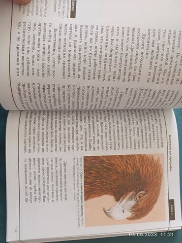 тетради, блокноты, дневники: Kitab piroqrafiya — 7