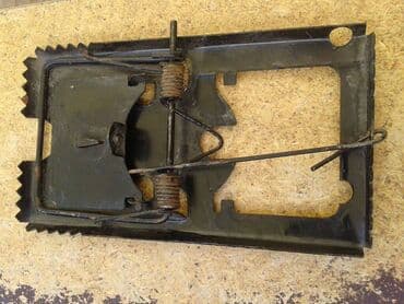 флаг ссср: Мышеловка — 4