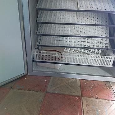 inkubator satisi: 1100 yumurta, Çin, Tam avtomat — 2