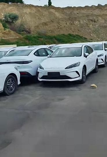 kiraye karavan: Depozit tələb olunmur sürücü vəsiqəsi ve kimlik kifayetdir — 4